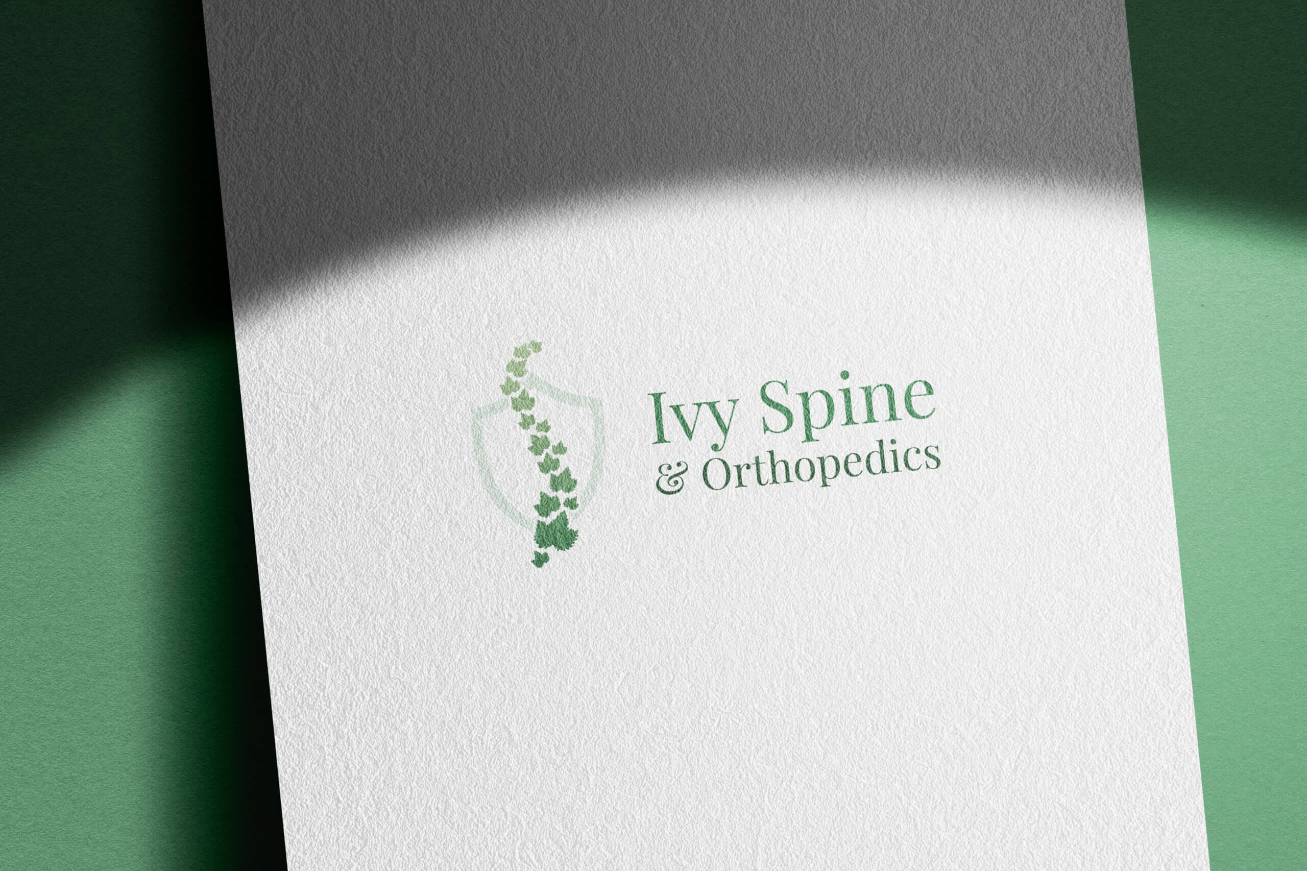Ivy Spine Gallery Image