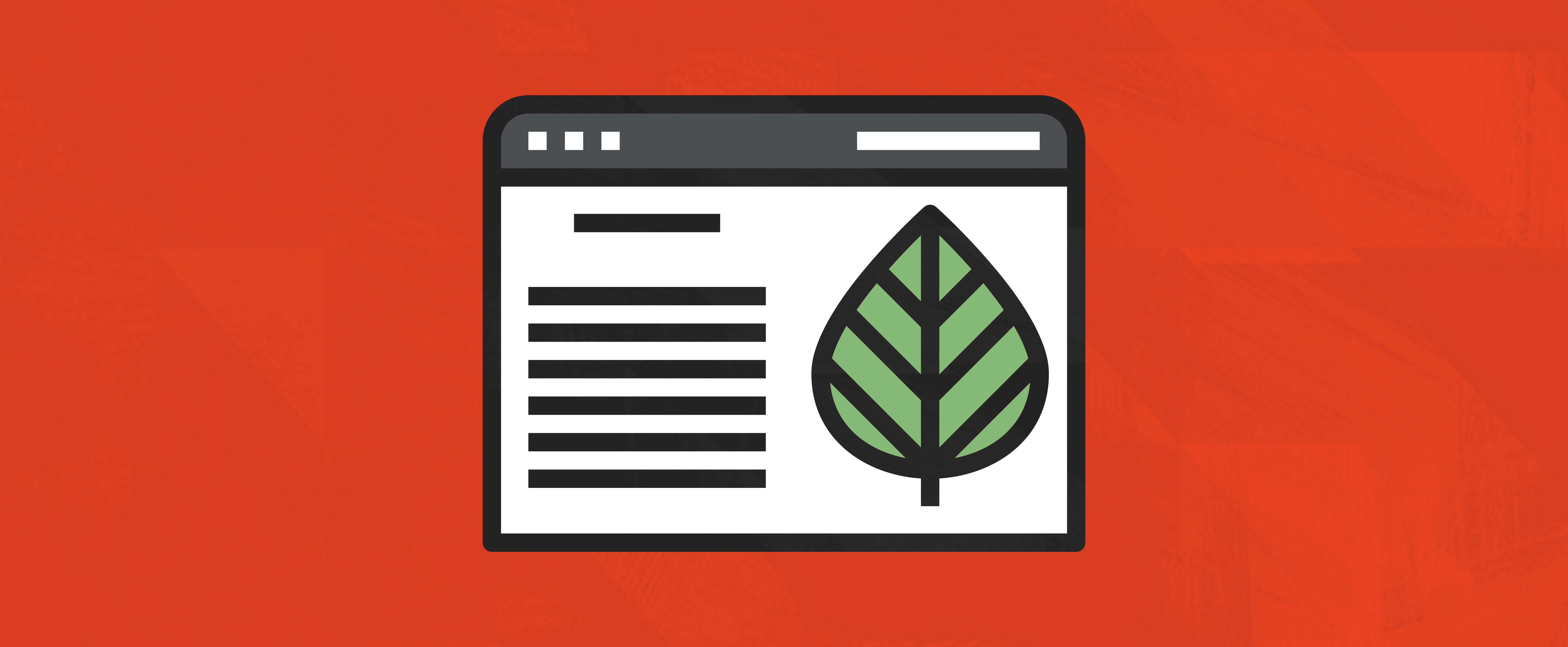 Successful Evergreen Content Types