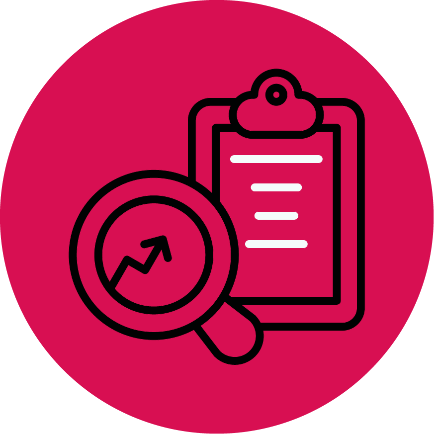 Discovery & Site Audit Icon